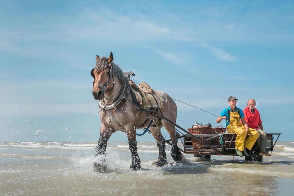 Jeugdherberg De Peerdevisser Oostduinkerke Exteriér fotografie