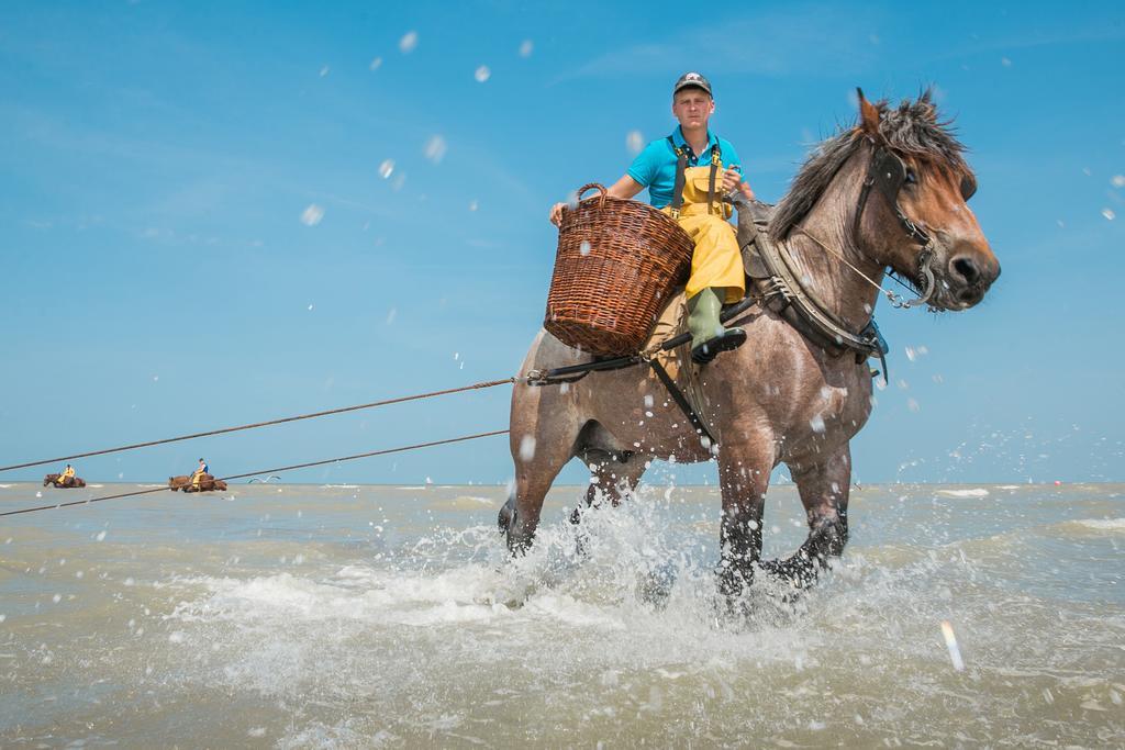 Jeugdherberg De Peerdevisser Oostduinkerke Exteriér fotografie